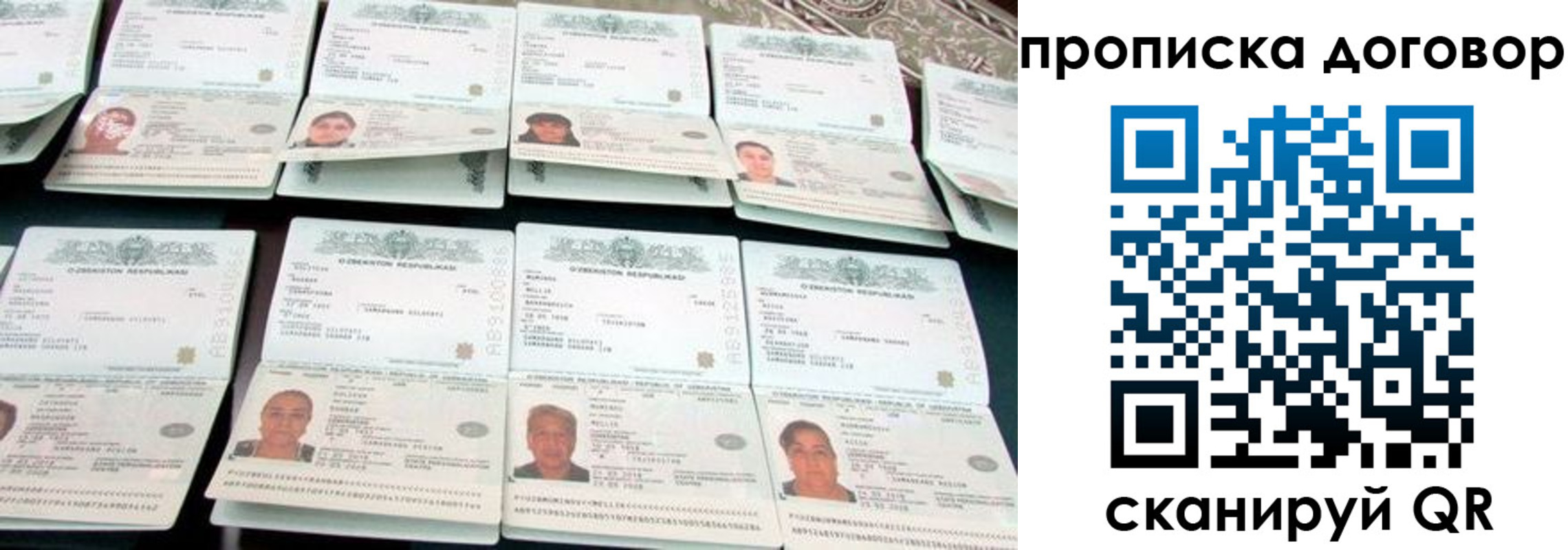 прописка для школы в Белой Холунице